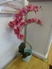 umělá orchidej v květníku